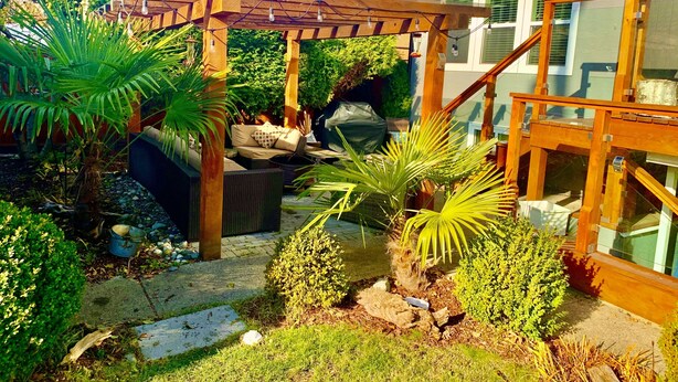 Una pérgola de madera con luces colgantes, un área de estar con cojines y un pequeño jardín con diversas plantas y una fuente de agua.