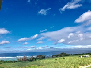 星評価なしの画像、4 / 43、ボタン