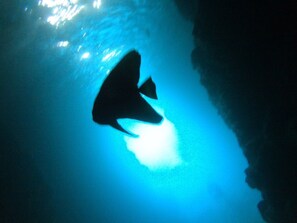 星評価なしの画像、5 / 43、ボタン