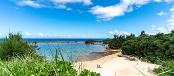 1 minute walk to the natural beach  - Ocean Resort Manashida Cape 306 / Kunigami-gun Okinawa