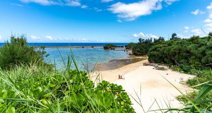 1 minute walk to the natural beach  - Ocean Resort Manashida Cape 306 / Kunigami-gun Okinawa