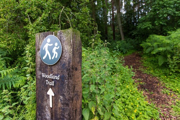 Een houten bord met een wandelpictogram en de tekst 'Woodland Trail', wijzend naar rechts.