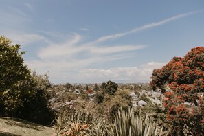 Suite estudio panorámica, planta baja | Vista desde la habitación