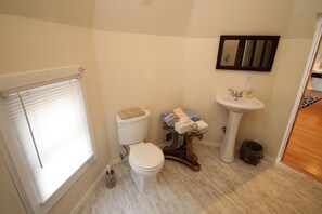 Shower, hair dryer, towels, toilet paper