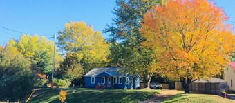 • Modern and Cozy Cabin short walk to Lake Champlain - Dog Friendly! •