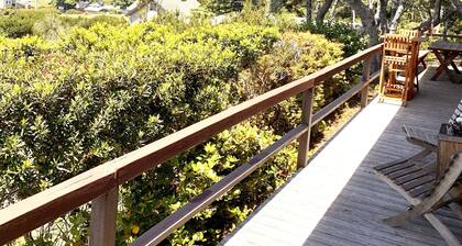 Pikku Beach Bungalow - merinäköala, upeat auringonlaskut, yhden korttelin päässä rannalta!