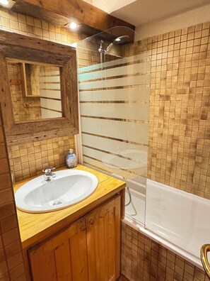 Duschwanne, Haartrockner, Seife, Toilettenpapier