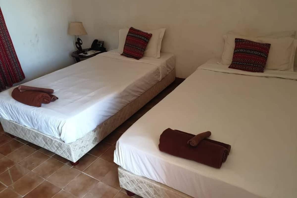 Standard Twin Room | Minibar, in-room safe, desk, free cribs/infant beds