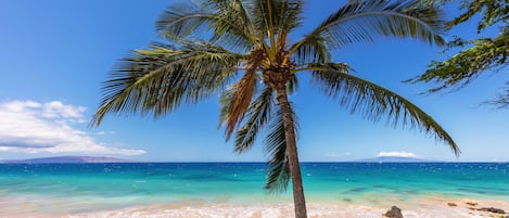 Una playa cerca