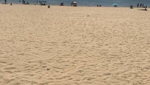 Une vaste plage de sable fin, sous un ciel dégagé, avec des montagnes qui se dessinent à l'horizon.