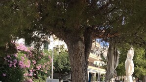 Zona alberata con un cartello che mostra i piatti del menu.