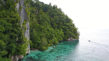 A coastal landscape with a cliff, dense greenery, and clear turquoise waters.