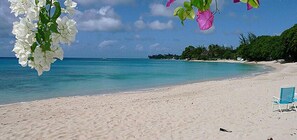Beach nearby - Emerald Beach 5 - Villa Aspicia (Gibbes)