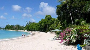 Ein Strand mit klarem türkisblauem Wasser, einem sandigen Ufer und üppiger Vegetation.