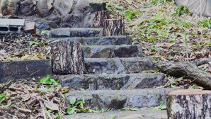 Garden - Resorthouse Bamboo (Kannami)