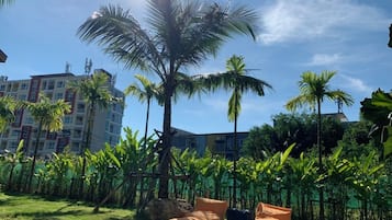 花园景观
