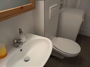 Hair dryer, towels, shampoo, toilet paper