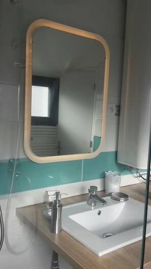 Hair dryer, soap, shampoo, toilet paper
