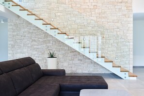 TV connectée, cheminée, livres