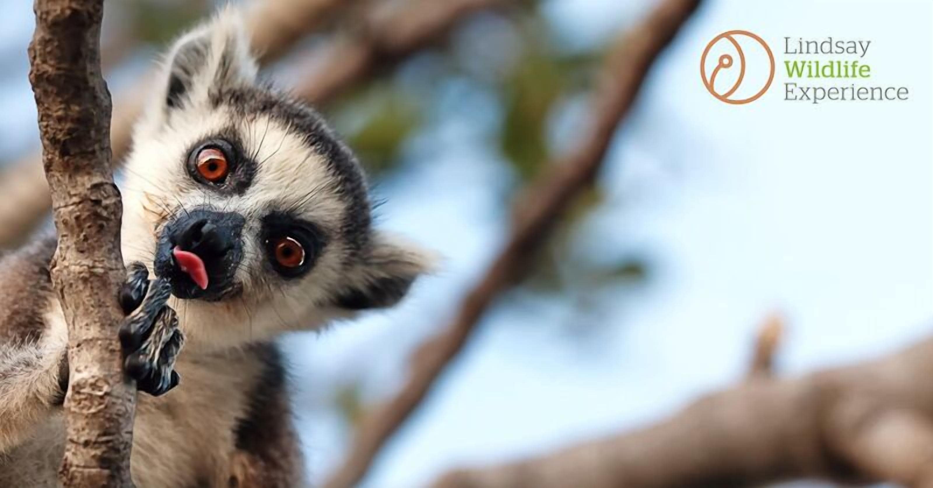 Photo - Residence Inn Walnut Creek