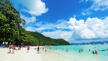 Una playa cerca, traslado desde/hacia la playa gratis