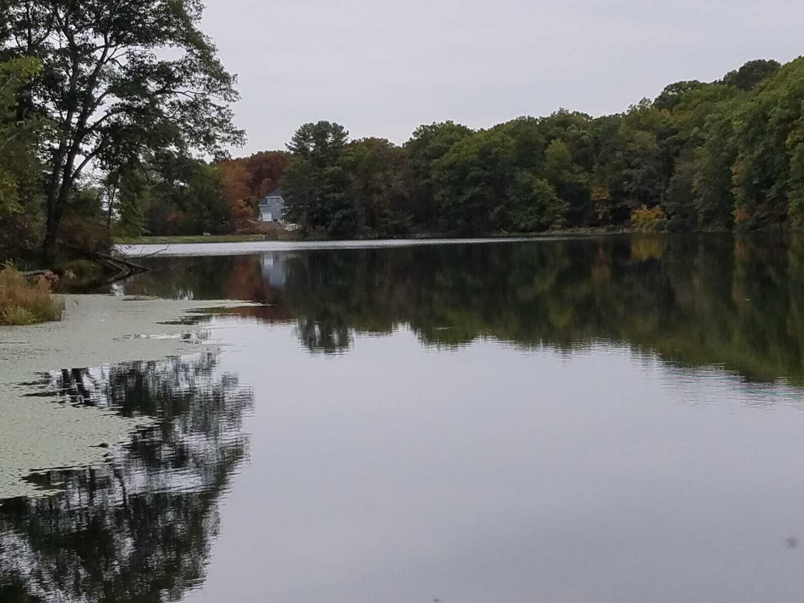 A calm lake with a dock and trees in the background.