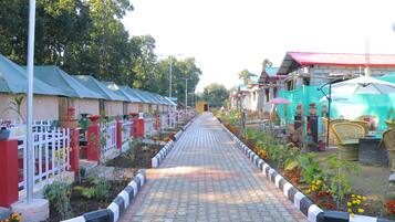 Outdoor wedding area
