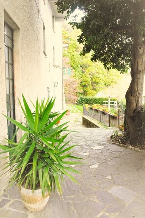 Terrain de l’hébergement 