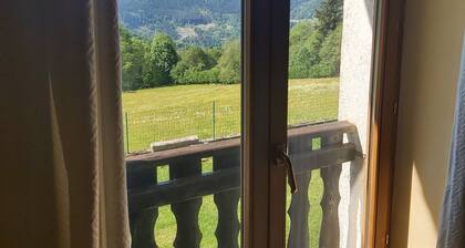 Superb gîte in the Vosges mountains