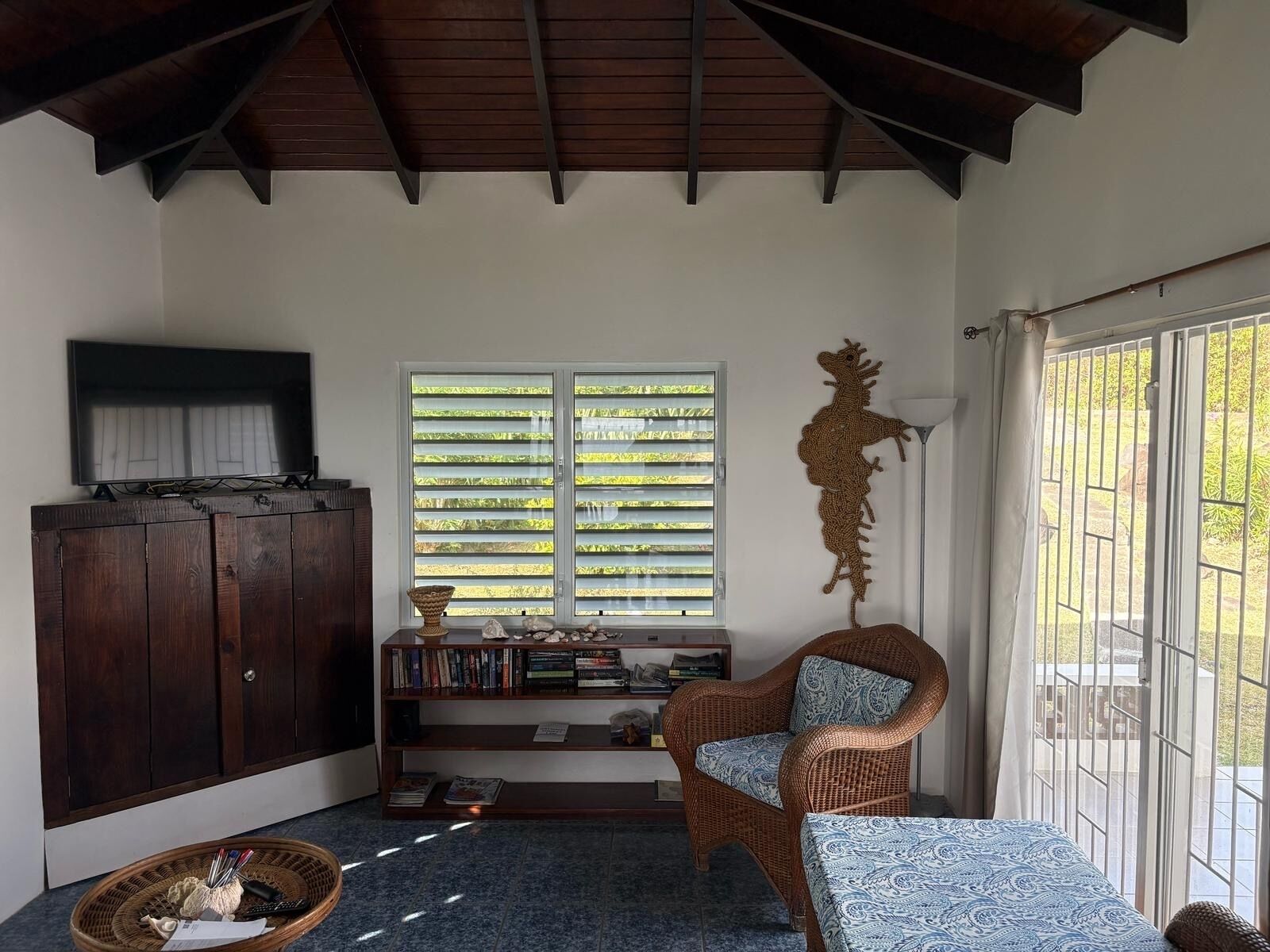 Télévision, livres