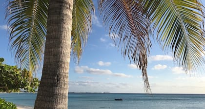 Spectacular 2 bedroom/2 bath Seven Mile Beach Condo.