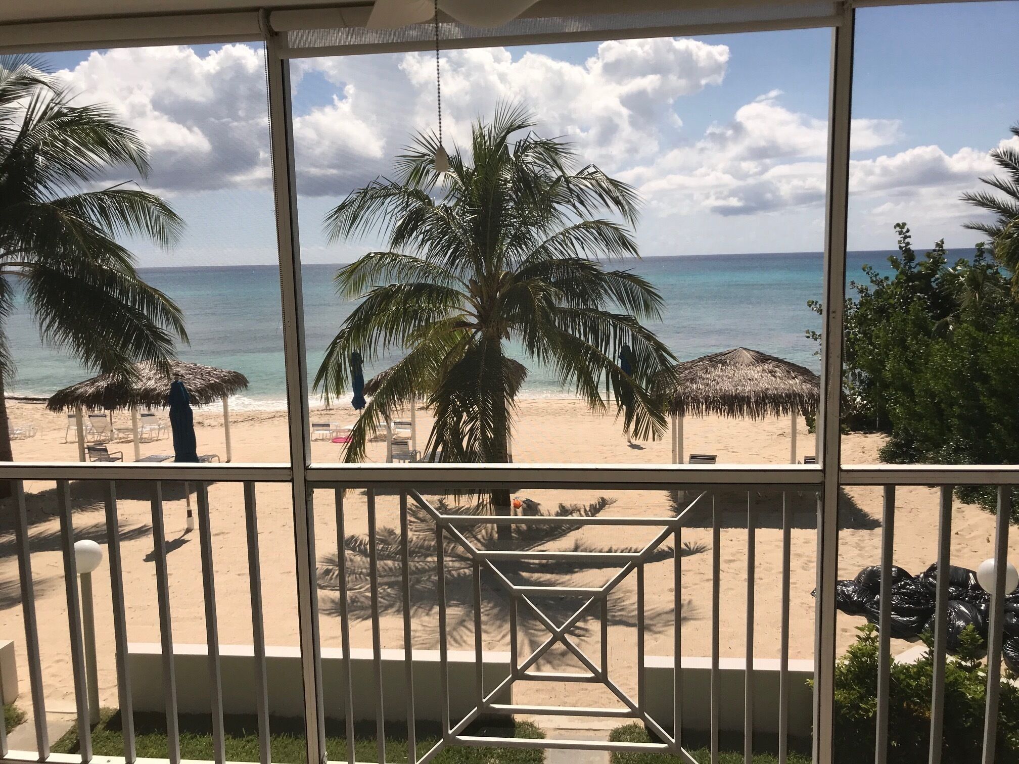 A beach view from a balcony with palm trees, a thatched umbrella, and a sandy beach.