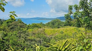 A lush landscape with dense vegetation and a distant view of a body of water and mountains. - Drake Bay Greenleaf (Drake Bay)