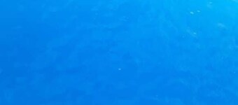 Vintage Pousada Hostel