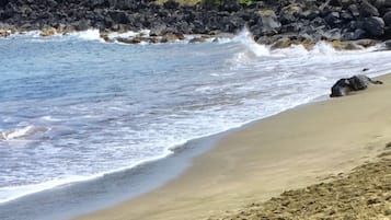 Beach nearby, sun loungers, beach towels