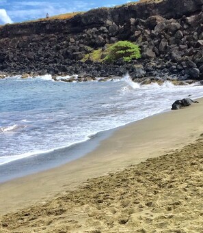 Beach nearby, sun-loungers, beach towels - My Ohana 30+ days  (Kailua-Kona)