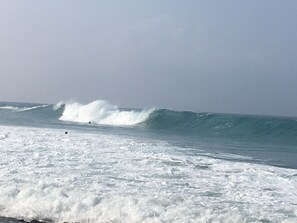 Beach nearby, sun-loungers, beach towels - My Ohana 30+ days (Kailua-Kona)
