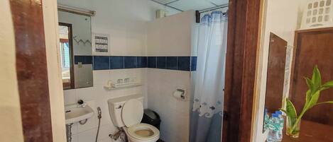 A bathroom with a toilet, sink, and shower area.