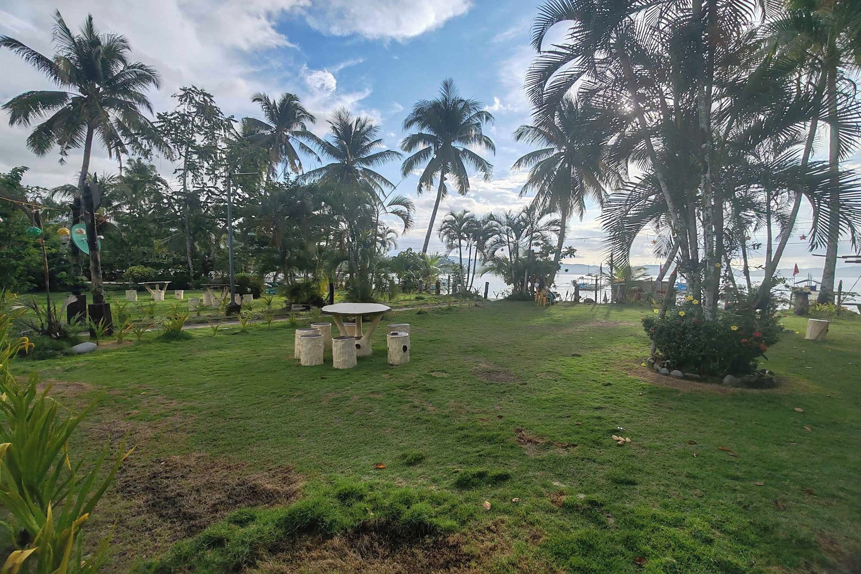 A grassy outdoor area with palm trees, a round table, and a small garden.