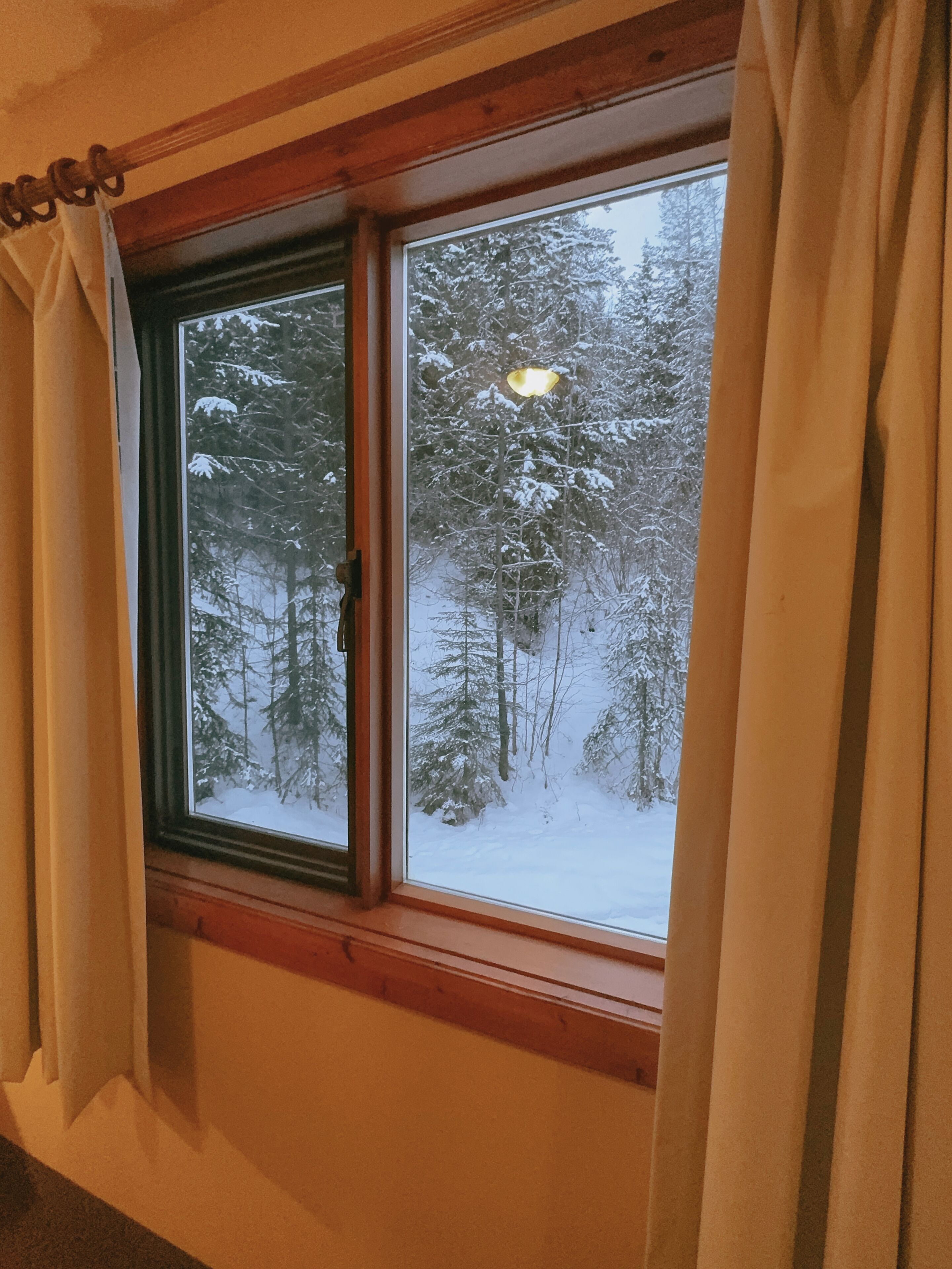 Una ventana con vista a un bosque nevado.