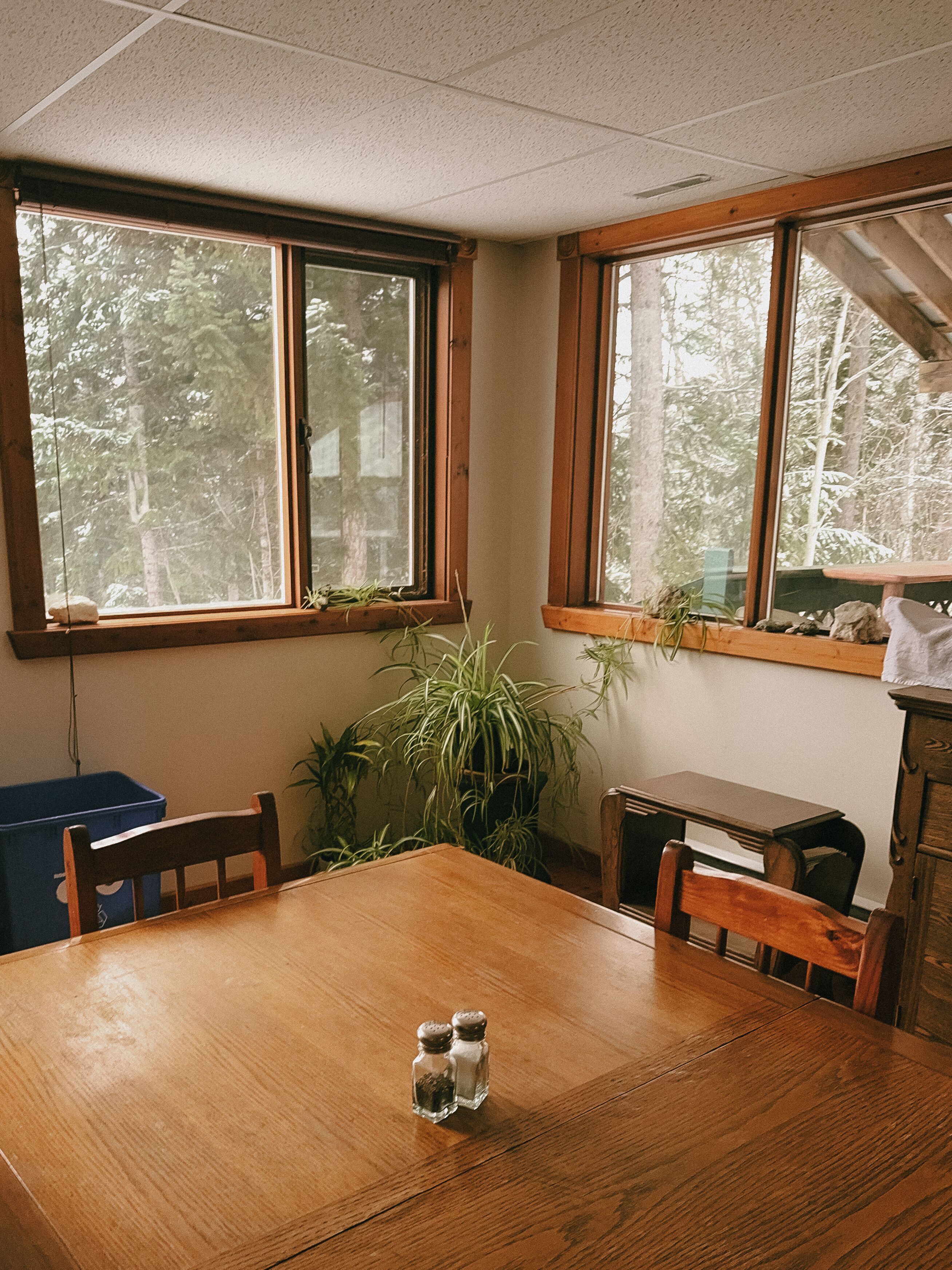 A dining area with a wooden table, two chairs, salt and pepper shakers, a blue trash bin, and windows with a view of trees.