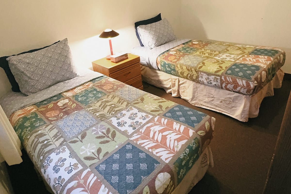 A room with two single beds, each with a patterned bedspread, a nightstand with a lamp, and a dresser.