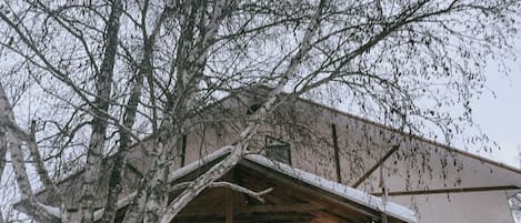 Exteriör