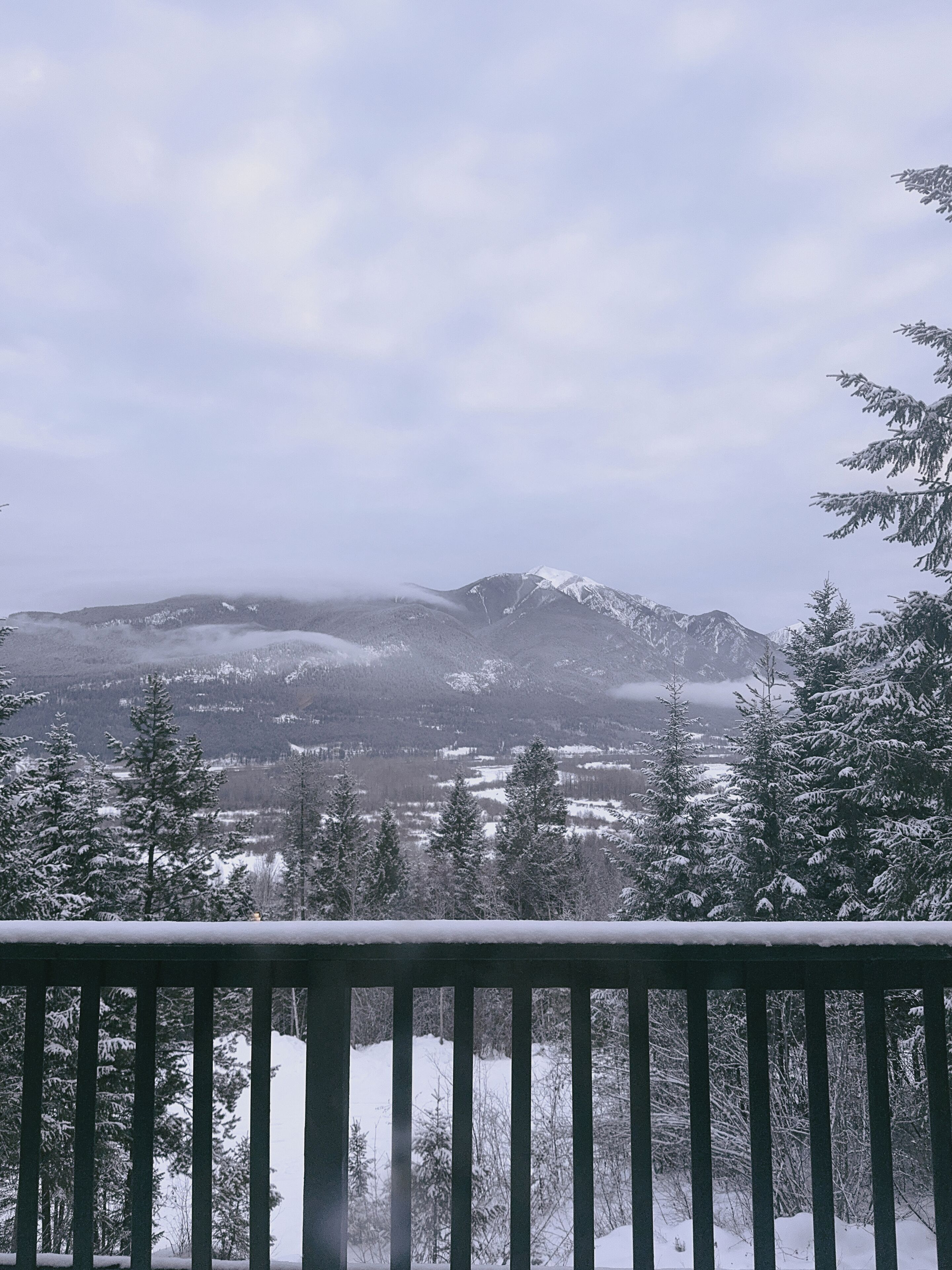 Een besneeuwd berglandschap met een bebost voorplan en uitzicht op verre bergen.