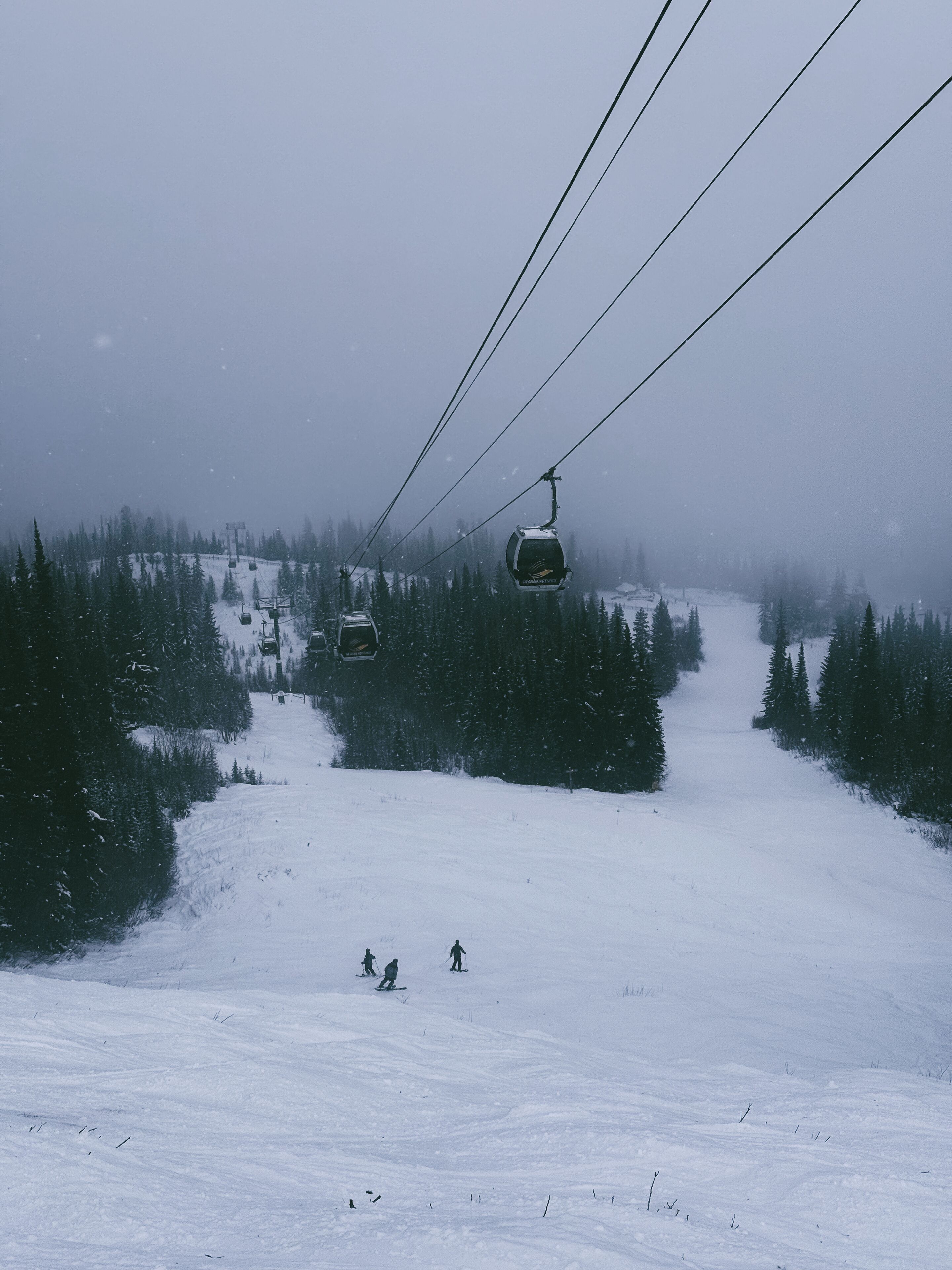 A ski lift with cabins moving up a snowy slope, surrounded by evergreen trees.