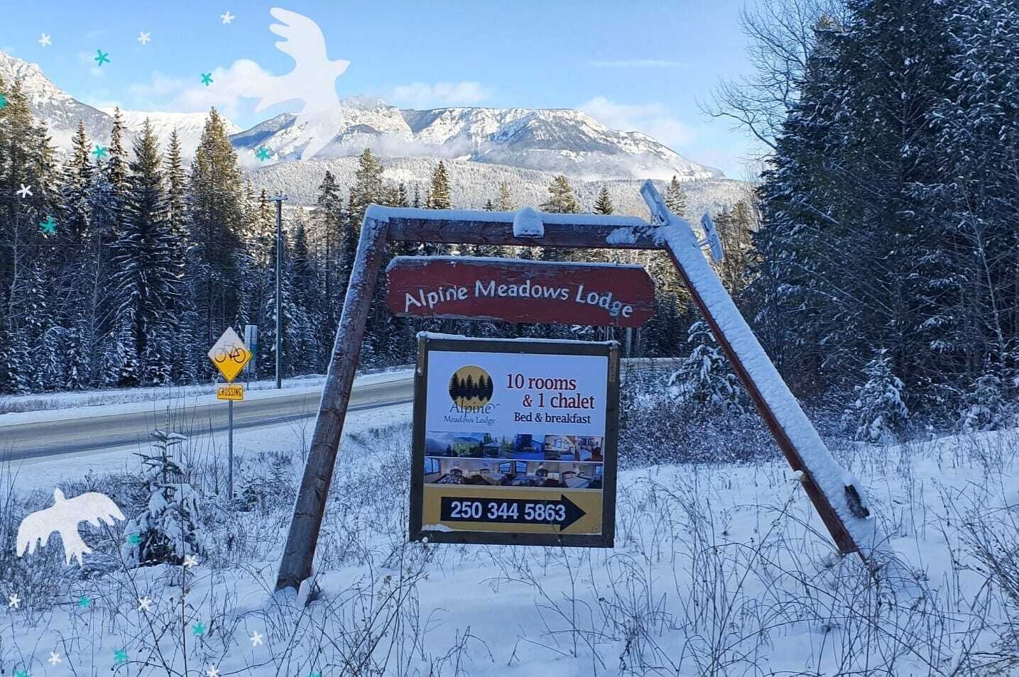 A sign for Alpine Meadows Lodge advertising 10 rooms and 1 chalet with bed & breakfast services.