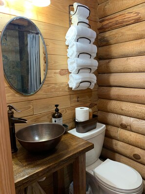 Rainfall showerhead, hair dryer, towels