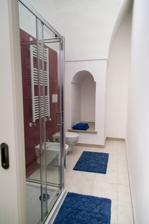 Habitación estándar | Baño | Regadera, regadera tipo lluvia, secadora de cabello, bidet 