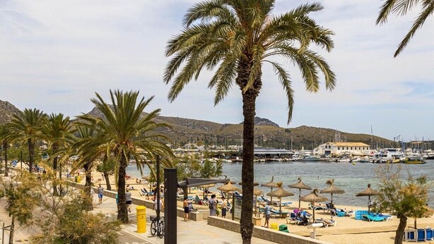 Un paseo marítimo costero con palmeras, sombrillas de playa y un puerto deportivo al fondo.