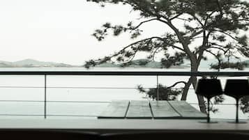 Beach/ocean view